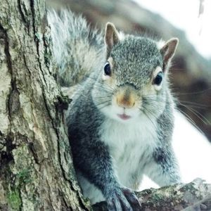 Meet your Posher, Matt